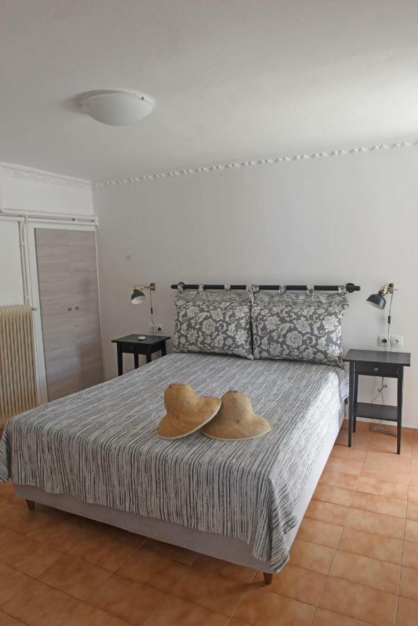 Villa Mare Vista à Evdilos  Extérieur photo